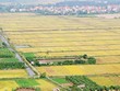 Luật Đất đai, "chưa thông" quy định thu hồi đất